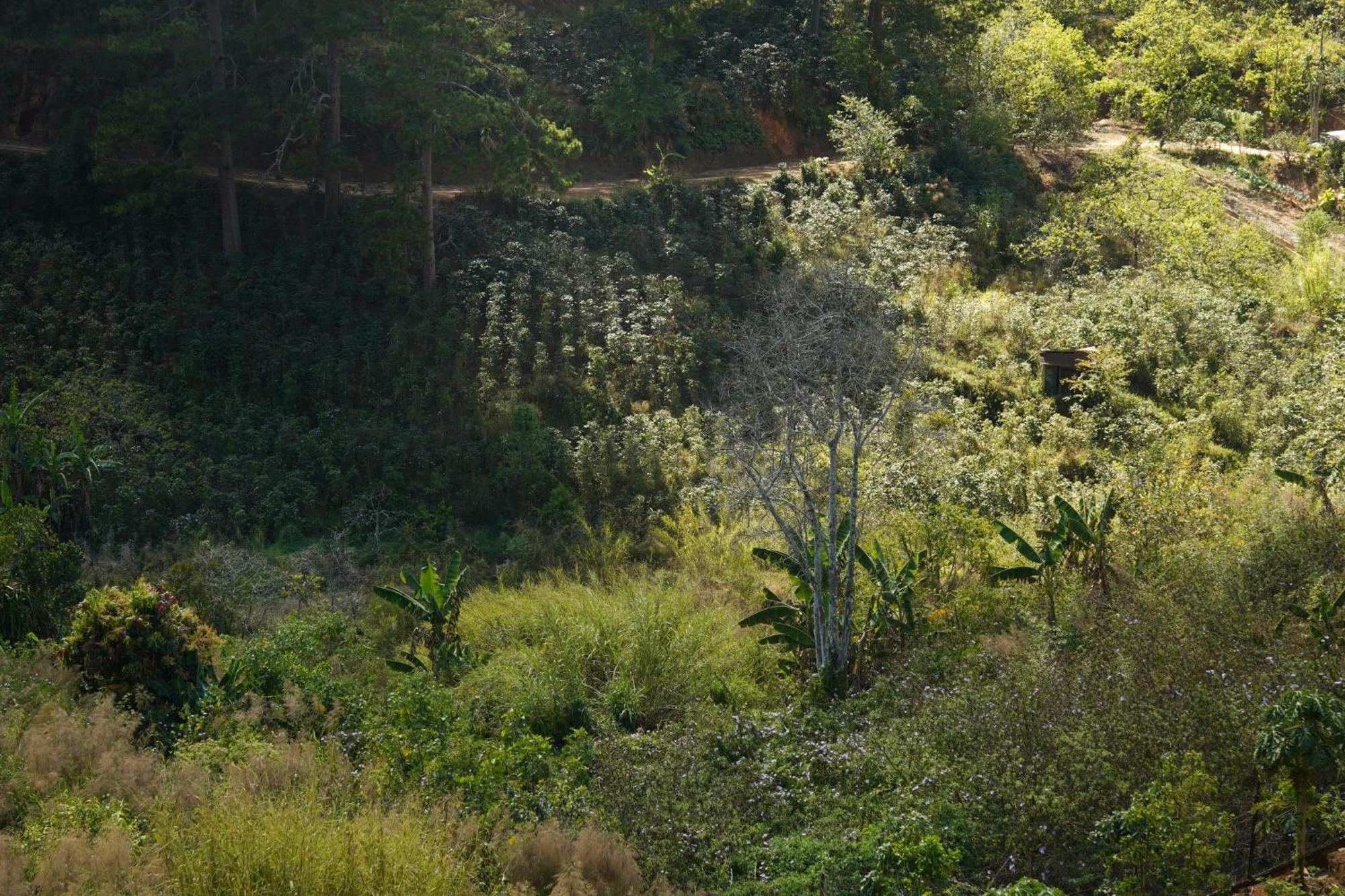 Emai Valley ดาลัด ภายนอก รูปภาพ
